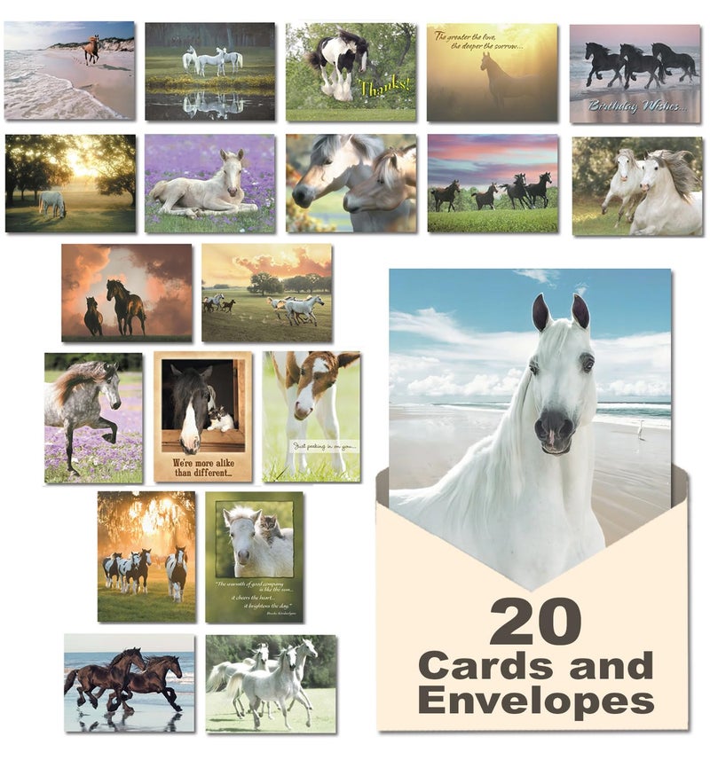Leanin' Tree Horse Country - Made in USA - 20 Assorted Cards with Envelopes All Occasion, Greeting Cards Assortment Box - Includes Birthday, Blank Notecards with Envelope, Thank You, Sympathy and More - Image 1